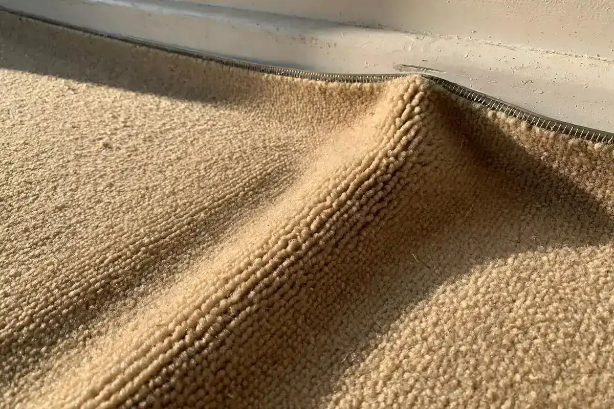 Beige carpet ripple running toward a baseboard with the tack strip edge visible